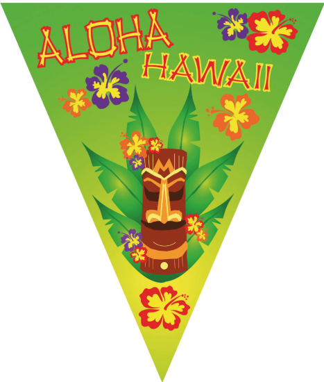 Hawaiiaanse Puntvlagjes - Klik op de afbeelding om het venster te sluiten