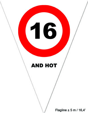 Puntvlagjes "16 and hot" - Klik op de afbeelding om het venster te sluiten